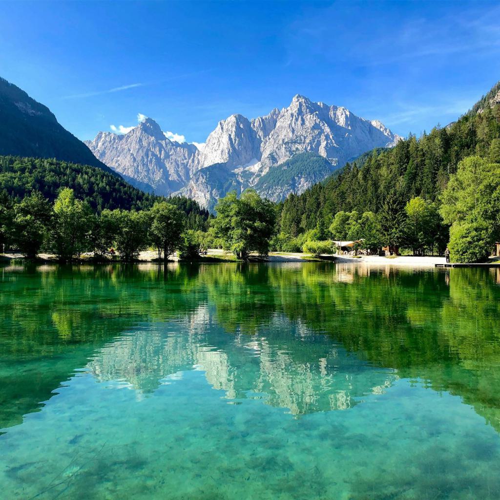 Kostenloses Stock Foto zu alpenwald, bäume, berg